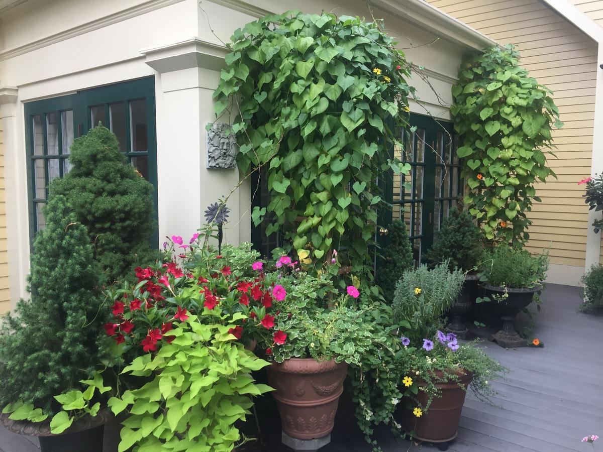 Mary Prentiss Inn Cambridge Exterior foto